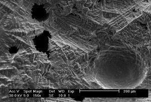 dendrites decorating  rim of void in splat-cooled nickel sample