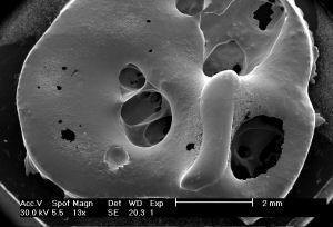 splat-cooled nickel with "cloth" and other dendritic structures