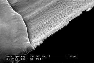 graphene "cloth" precipitated from nickel